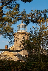 Stone Lighthouse Surrounded by Evergreen Branches in New England